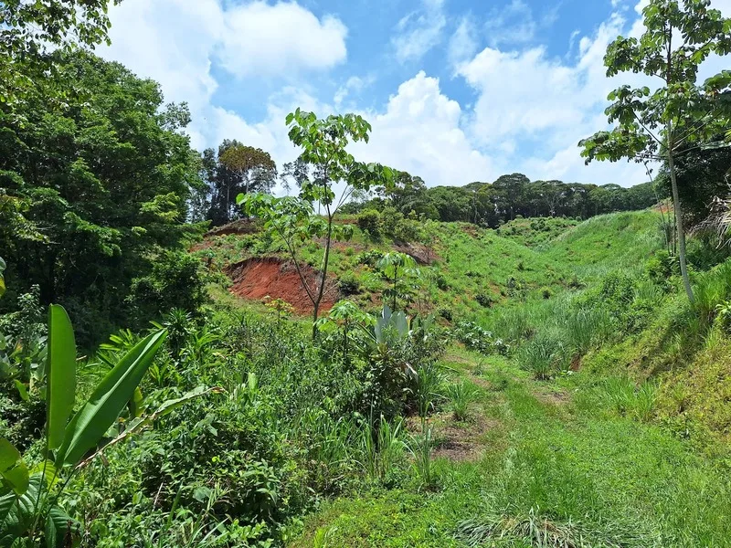 Land For Sale in Perez Zeledon, photo 11