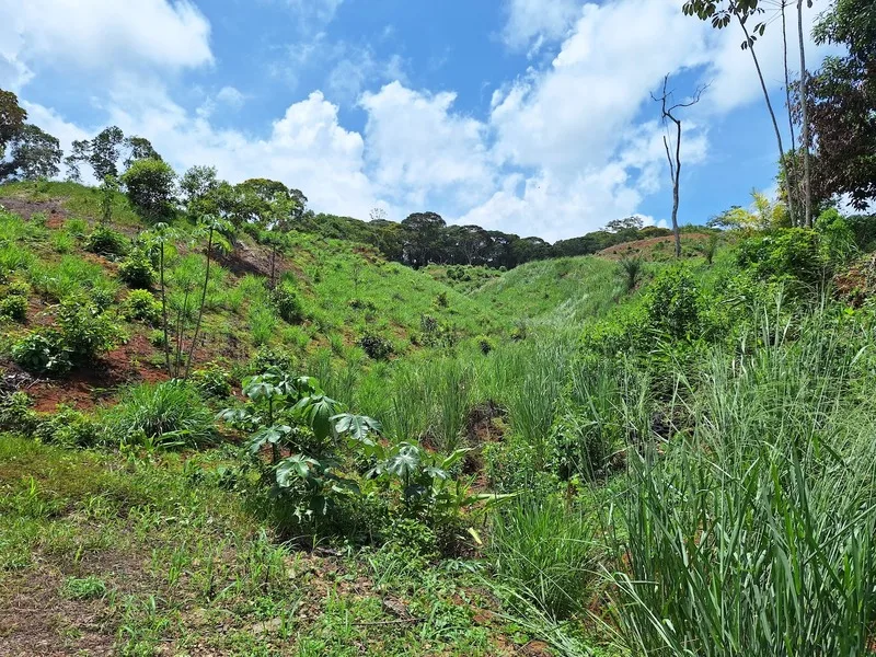 Land For Sale in Perez Zeledon, photo 12