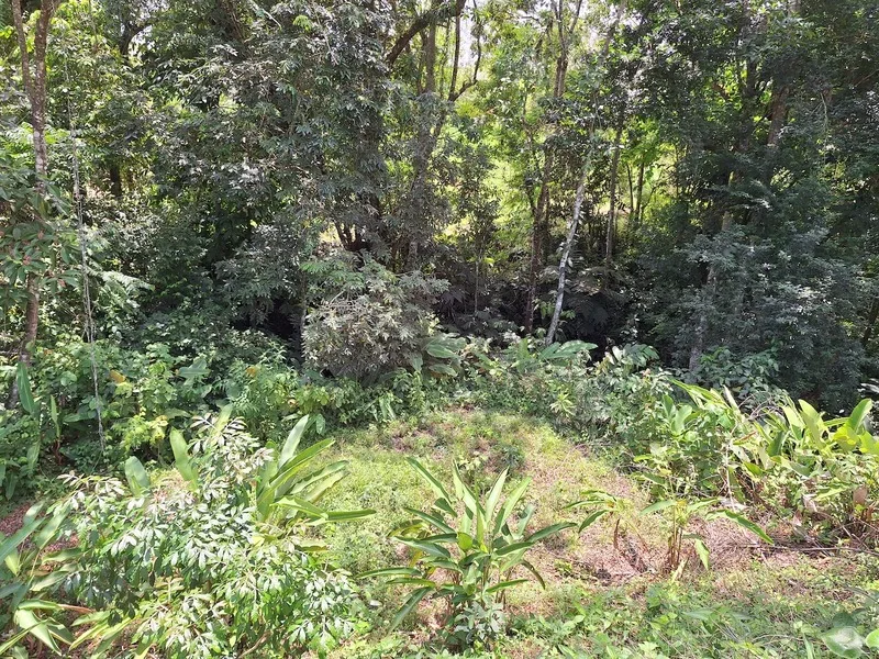 Land For Sale in Perez Zeledon, photo 14