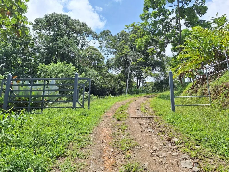 Land For Sale in Perez Zeledon, photo 15