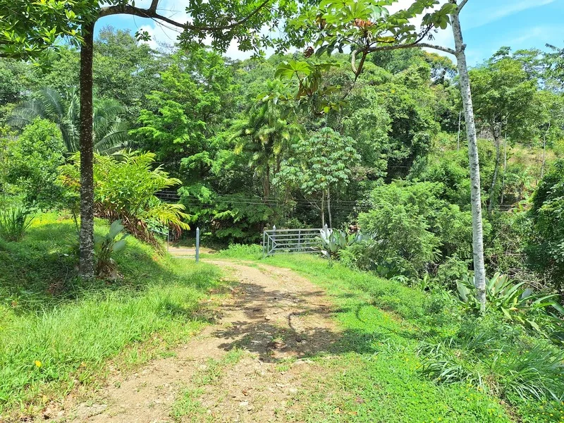 Land For Sale in Perez Zeledon, photo 6
