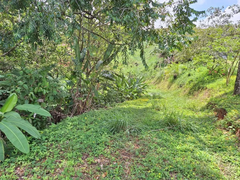 Land For Sale in Perez Zeledon, photo 8