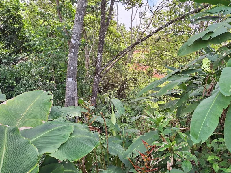 Land For Sale in Perez Zeledon, photo 10