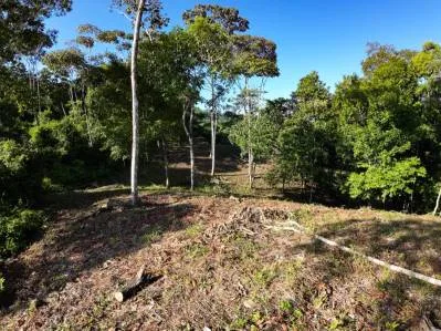 Hermosa Propiedad con Vista a la Montaña en Venta Cerca de Ojochal, Costa Rica, photo 5
