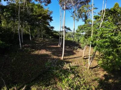 Hermosa Propiedad con Vista a la Montaña en Venta Cerca de Ojochal, Costa Rica, photo 6