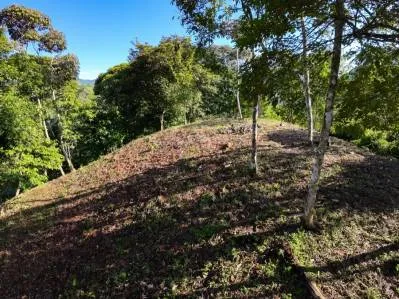 Hermosa Propiedad con Vista a la Montaña en Venta Cerca de Ojochal, Costa Rica, photo 7