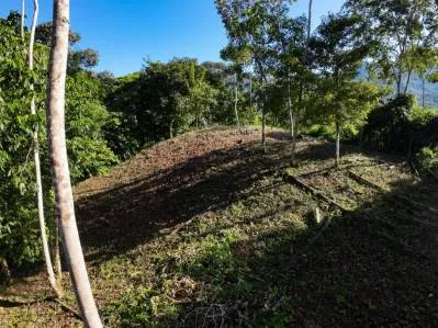 Hermosa Propiedad con Vista a la Montaña en Venta Cerca de Ojochal, Costa Rica, photo 8