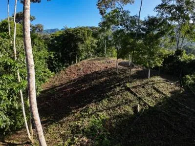 Hermosa Propiedad con Vista a la Montaña en Venta Cerca de Ojochal, Costa Rica, photo 9
