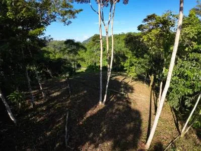 Hermosa Propiedad con Vista a la Montaña en Venta Cerca de Ojochal, Costa Rica, photo 10