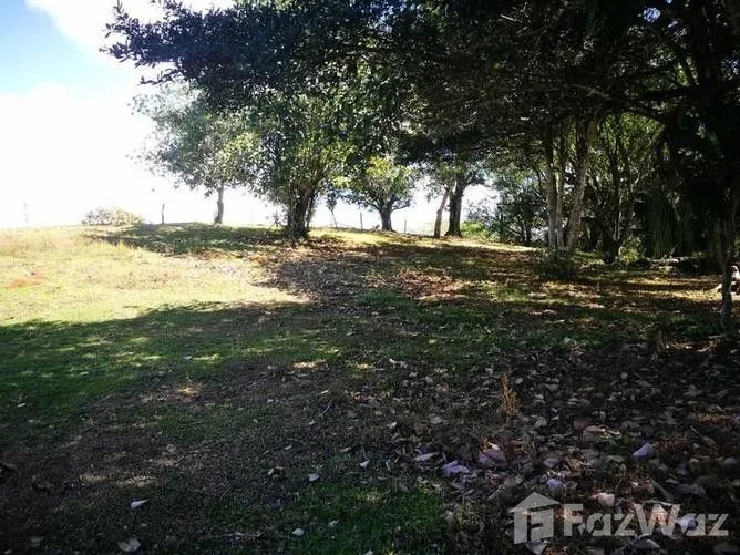 Land for Sale in Tilaran, Guanacaste for $65,400, photo 2