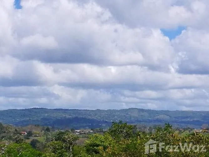 Land for Sale in Tilaran, Guanacaste for $65,400, photo 3