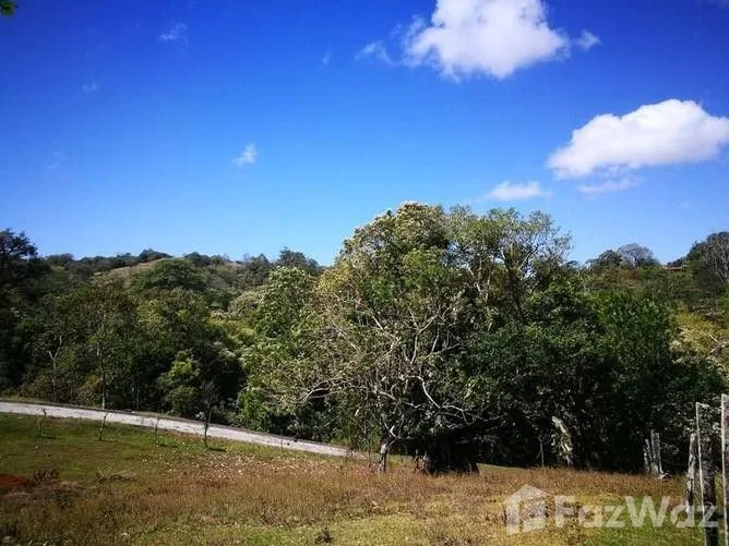 Land for Sale in Tilaran, Guanacaste for $65,400, photo 4