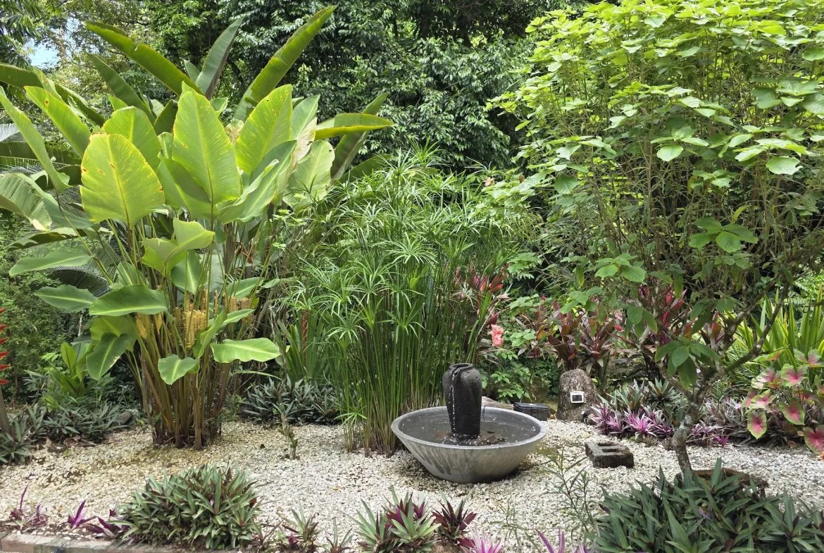 JUNGLE PROPERTY WITH THREE BEDROOMS IN A GATED COMMUNITY, IN OJOCHAL – 1.17 ACRES, photo 8