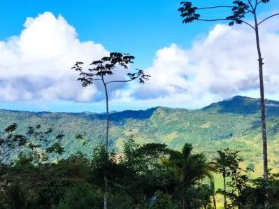 Finca de montaña aislada con vistas al mar en Uvita Hills, photo 4