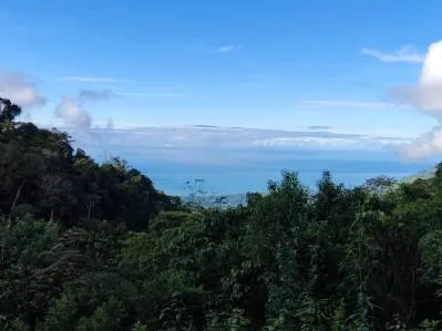 Finca de montaña aislada con vistas al mar en Uvita Hills, photo 5