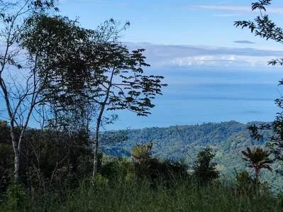 Finca de montaña aislada con vistas al mar en Uvita Hills, photo 6