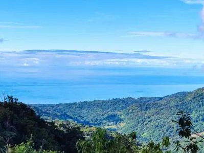 Finca de montaña aislada con vistas al mar en Uvita Hills, photo 8