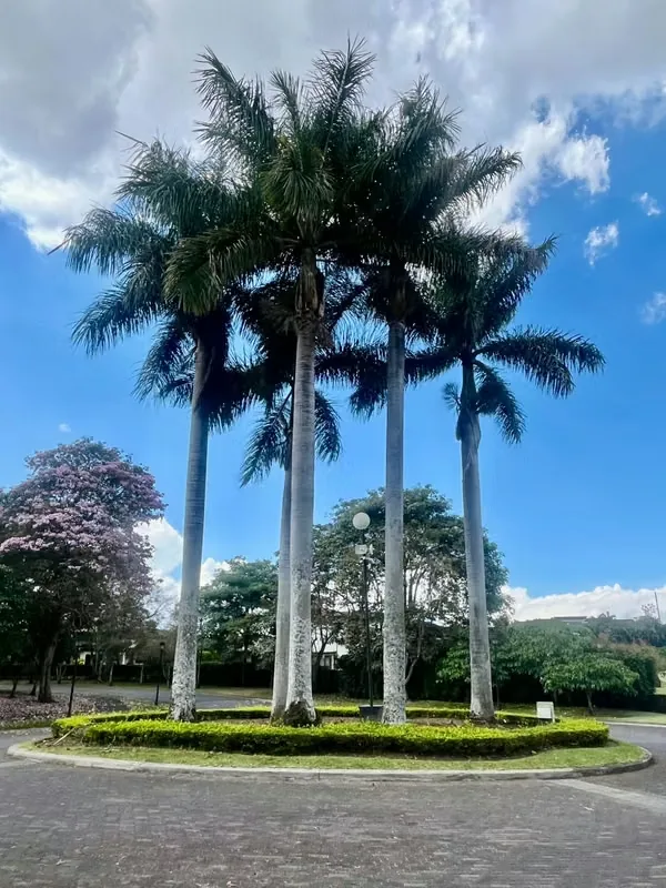 Una oportunidad única de adquirir un lote excepcional en uno de los condominios más exclusivos y prestigiosos del país., photo 4