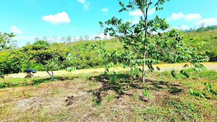 LOTE EN VENTA COMUNIDAD RISE, VISTAS Y PRIVACIDAD, PZ. - Venta en Perez Zeledón, photo 12
