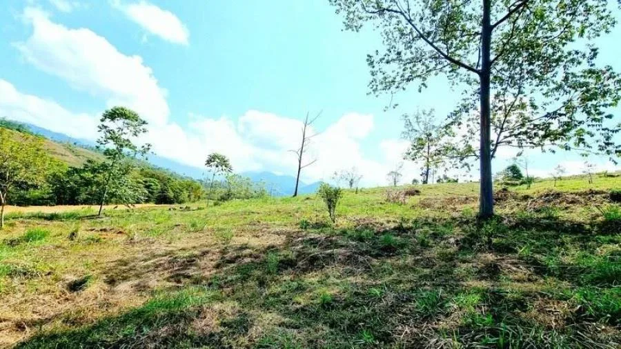 LOTE EN VENTA COMUNIDAD RISE, VISTAS Y PRIVACIDAD, PZ. - Venta en Perez Zeledón, photo 8