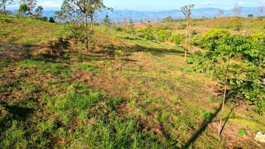 LOTE EN VENTA COMUNIDAD RISE, VISTAS Y PRIVACIDAD, PZ. - Venta en Perez Zeledón, photo 9