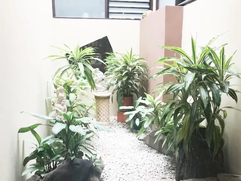 3 Bed Single Family Homes For Sale in Montes de Oca, photo 4