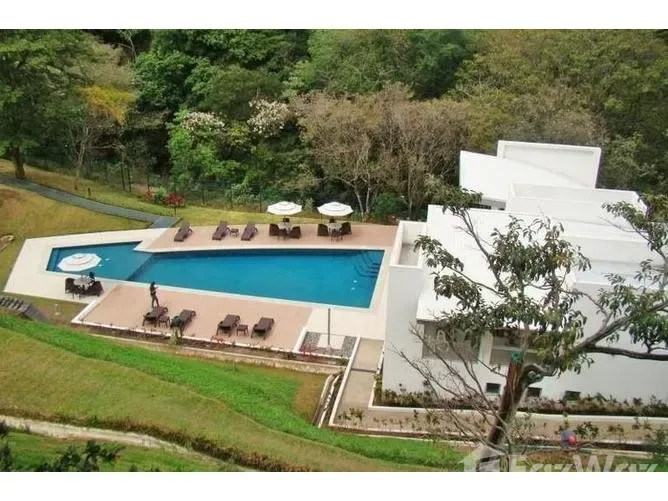 1 Bedroom Apartment for Rent at Barrio Corazon de Jesus for $1,175/mo, photo 3
