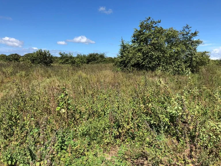 Development Parcel in Liberia