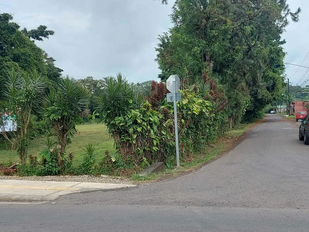 La Virgen is the second district of the canton of Sarapiquí, in the province of Heredia., photo 3