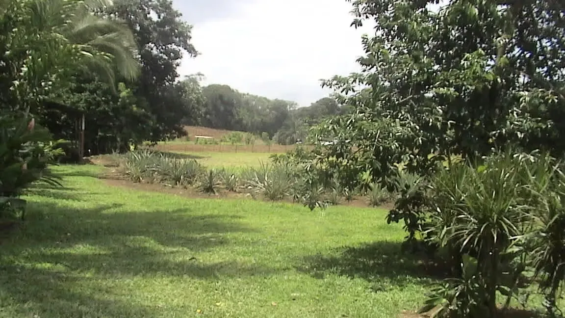 La Virgen is the second district of the canton of Sarapiquí, in the province of Heredia., photo 7