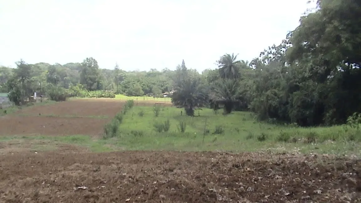 La Virgen is the second district of the canton of Sarapiquí, in the province of Heredia., photo 9