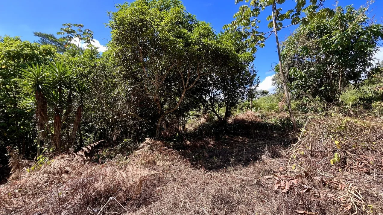 Lot for Sale in Perez Zeledon: Spacious Land with Views and Free House Design in Juan Pablo II, photo 12