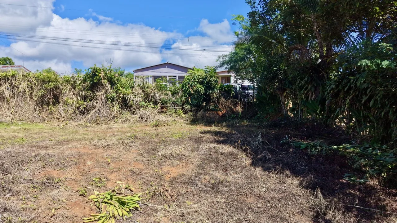 Lot for Sale in Perez Zeledon: Spacious Land with Views and Free House Design in Juan Pablo II, photo 4