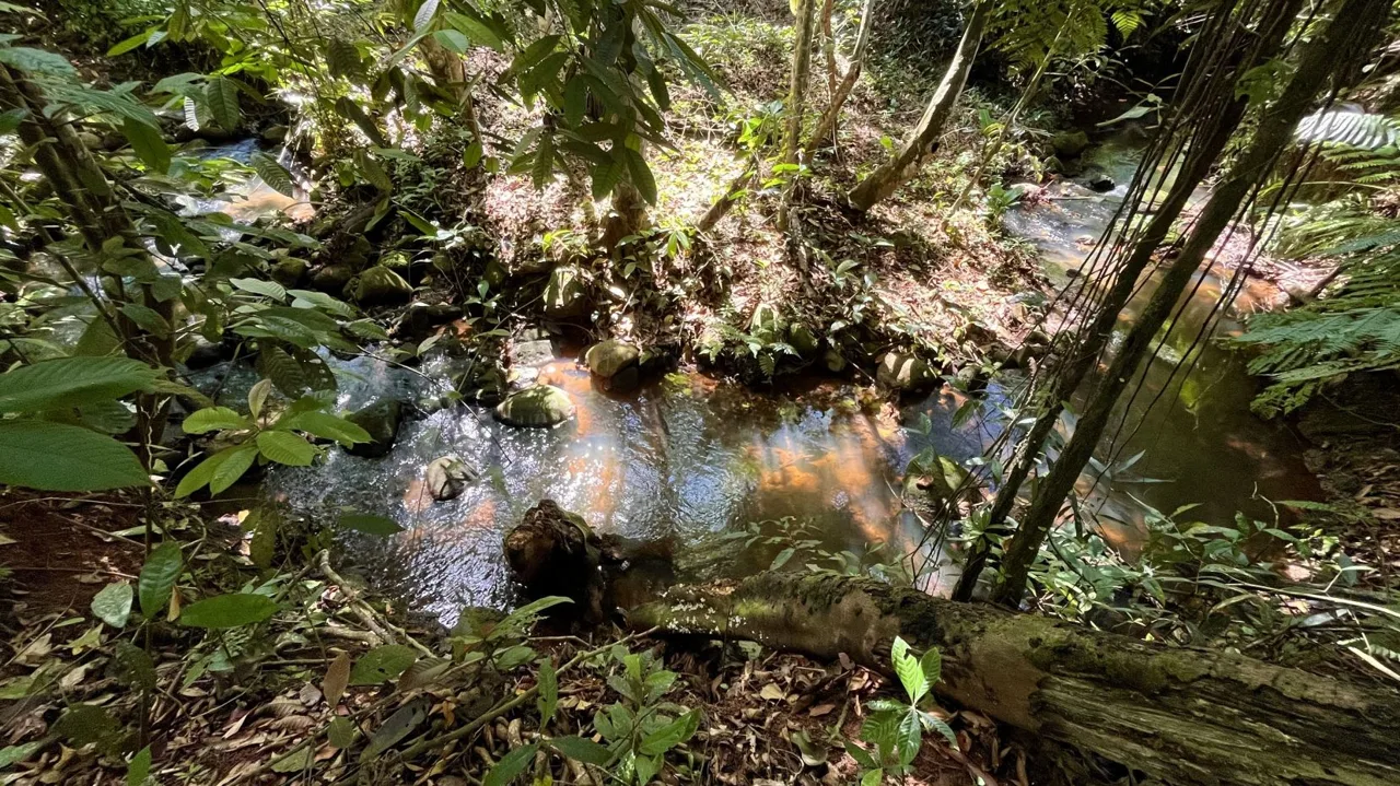 Lot for Sale in Perez Zeledon: Spacious Land with Views and Free House Design in Juan Pablo II, photo 5