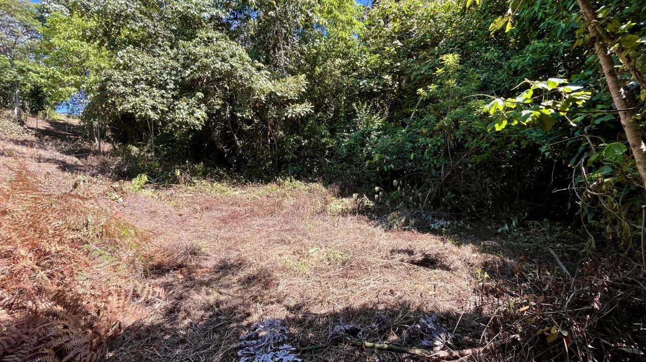 Lot for Sale in Perez Zeledon: Spacious Land with Views and Free House Design in Juan Pablo II, photo 8
