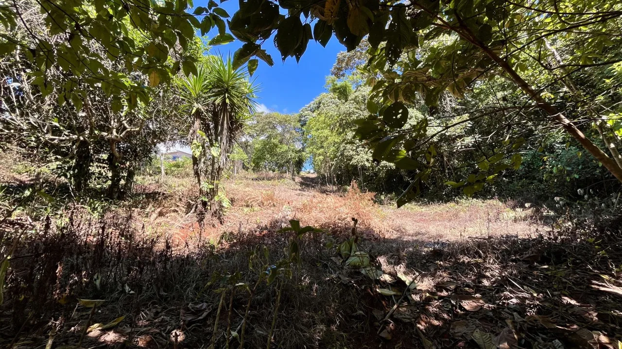 Lot for Sale in Perez Zeledon: Spacious Land with Views and Free House Design in Juan Pablo II, photo 9