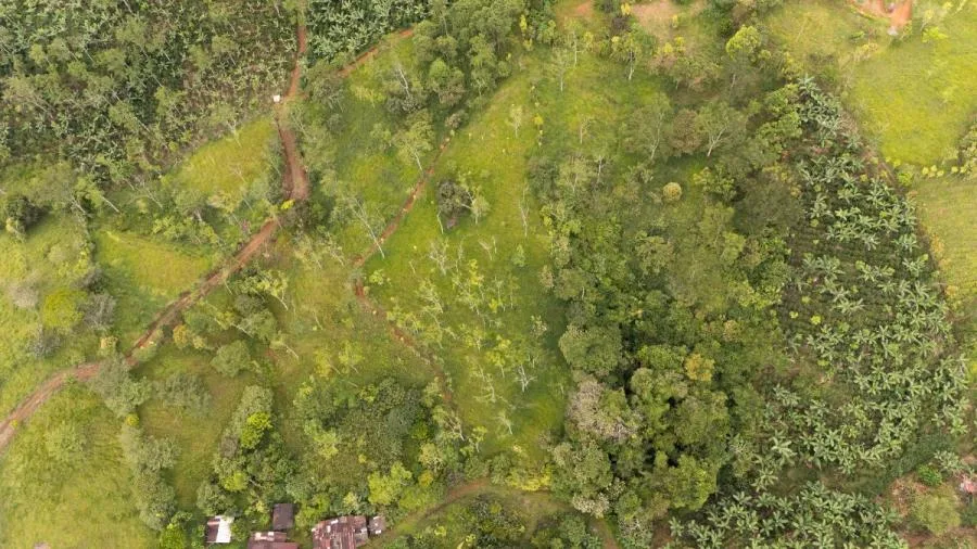MAS DE 5 ACRES CON NACIENTES Y VISTA MONTAÑAS RIVAS - Venta en Perez Zeledón, photo 11