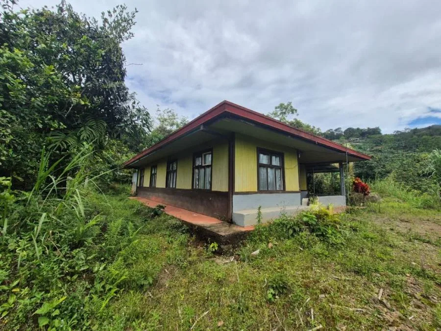MAS DE 5 ACRES CON NACIENTES Y VISTA MONTAÑAS RIVAS - Venta en Perez Zeledón, photo 12