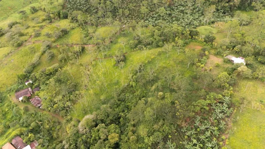 MAS DE 5 ACRES CON NACIENTES Y VISTA MONTAÑAS RIVAS - Venta en Perez Zeledón, photo 13