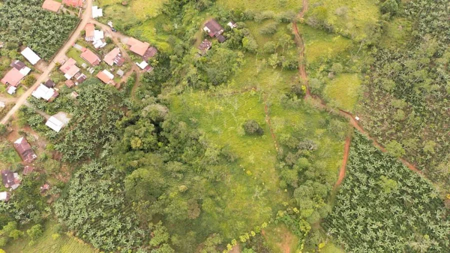 MAS DE 5 ACRES CON NACIENTES Y VISTA MONTAÑAS RIVAS - Venta en Perez Zeledón, photo 14