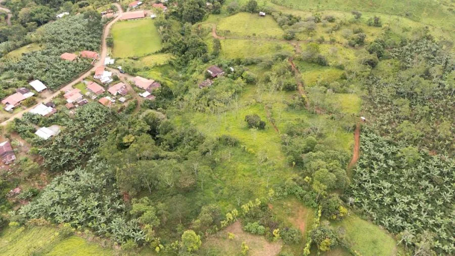 MAS DE 5 ACRES CON NACIENTES Y VISTA MONTAÑAS RIVAS - Venta en Perez Zeledón, photo 15