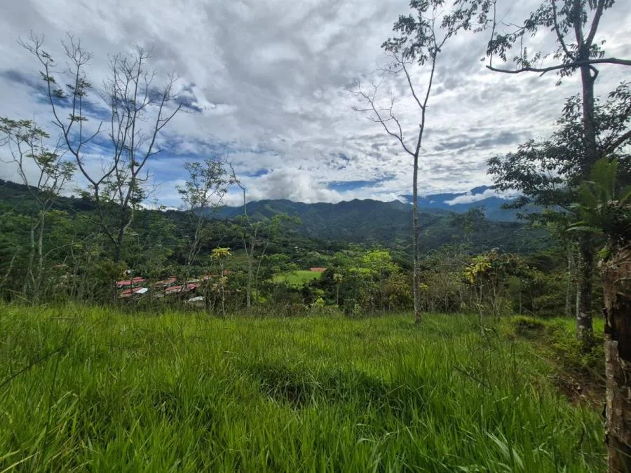 MAS DE 5 ACRES CON NACIENTES Y VISTA MONTAÑAS RIVAS - Venta en Perez Zeledón, photo 9
