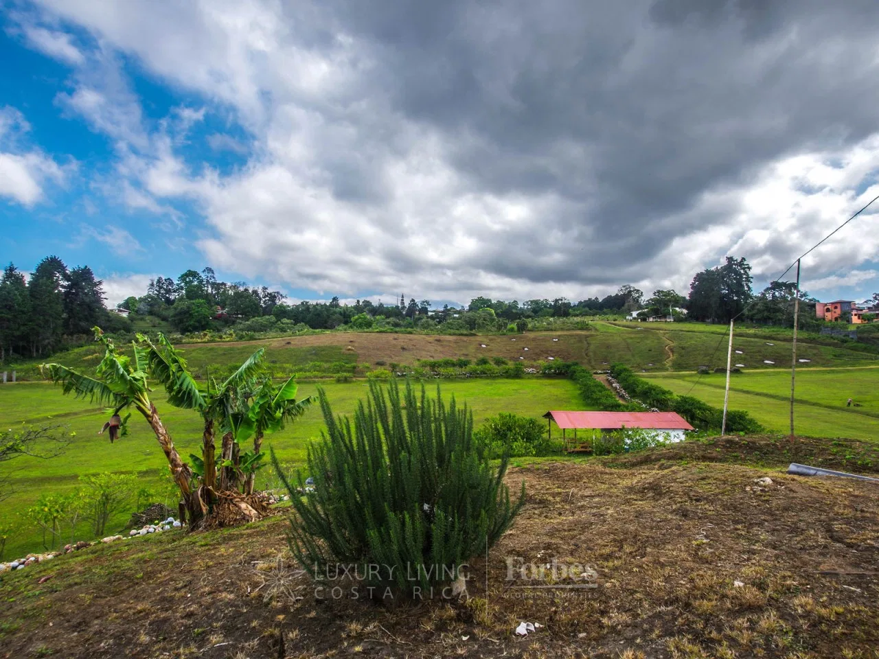 11.48 Hectares in San Ramón de La Unión, photo 11
