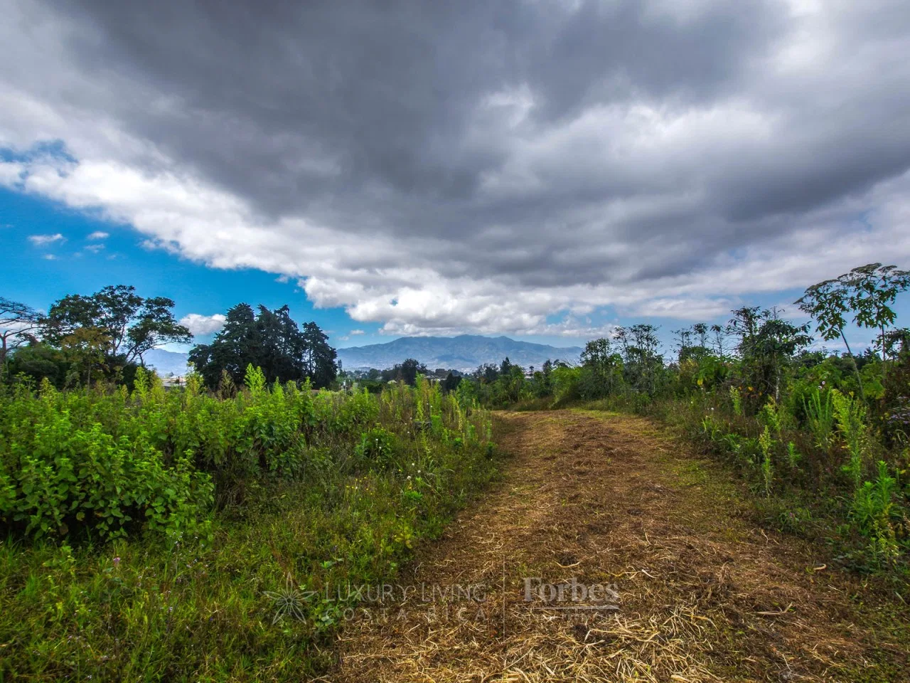 11.48 Hectares in San Ramón de La Unión, photo 4