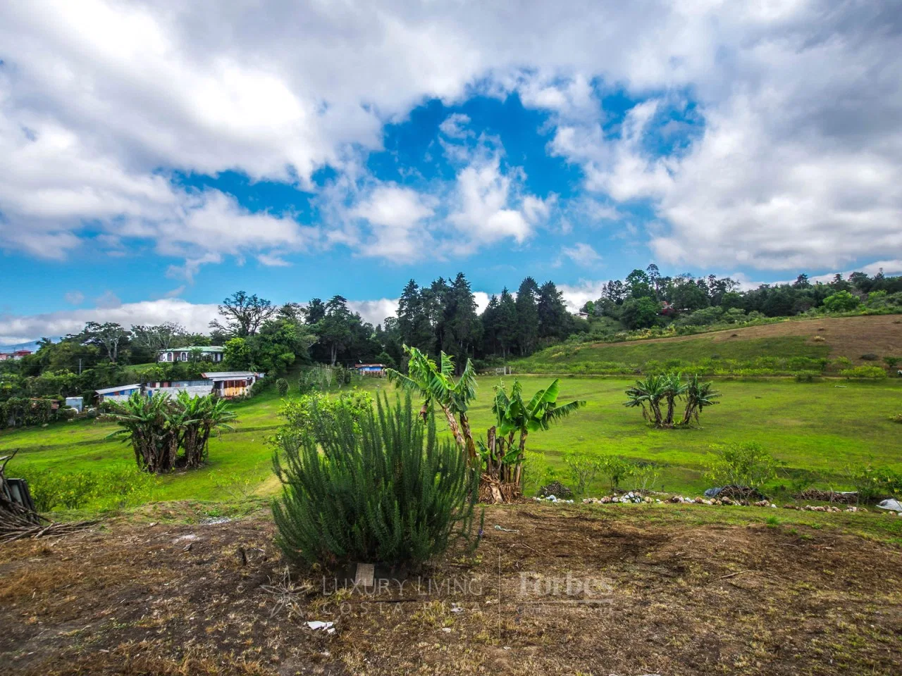 11.48 Hectares in San Ramón de La Unión, photo 9