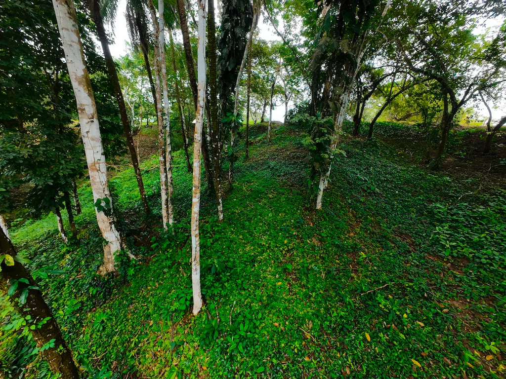DEVELOPMENT POTENCIAL WITH BEAUTIFUL OCEAN VIEWS AND GOOD ACCESS – 136 ACRES, photo 21