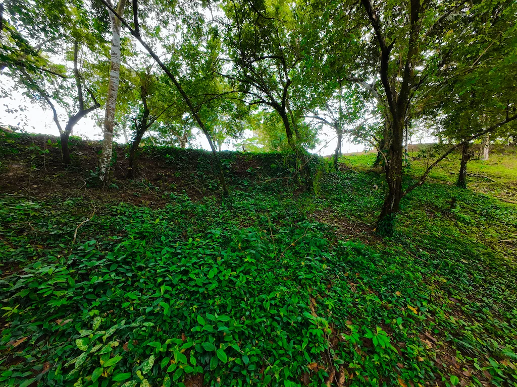 DEVELOPMENT POTENCIAL WITH BEAUTIFUL OCEAN VIEWS AND GOOD ACCESS – 136 ACRES, photo 22