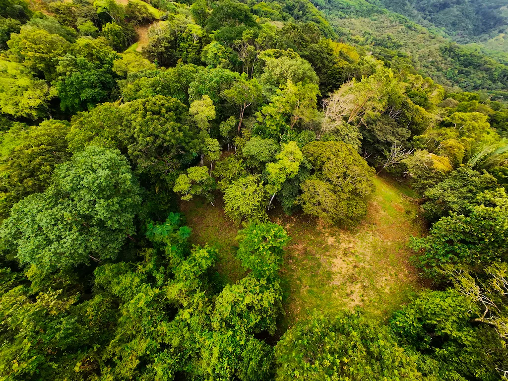 DEVELOPMENT POTENCIAL WITH BEAUTIFUL OCEAN VIEWS AND GOOD ACCESS – 136 ACRES, photo 24