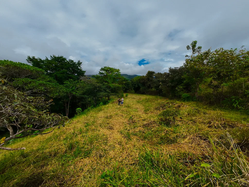 DEVELOPMENT POTENCIAL WITH BEAUTIFUL OCEAN VIEWS AND GOOD ACCESS – 136 ACRES, photo 8