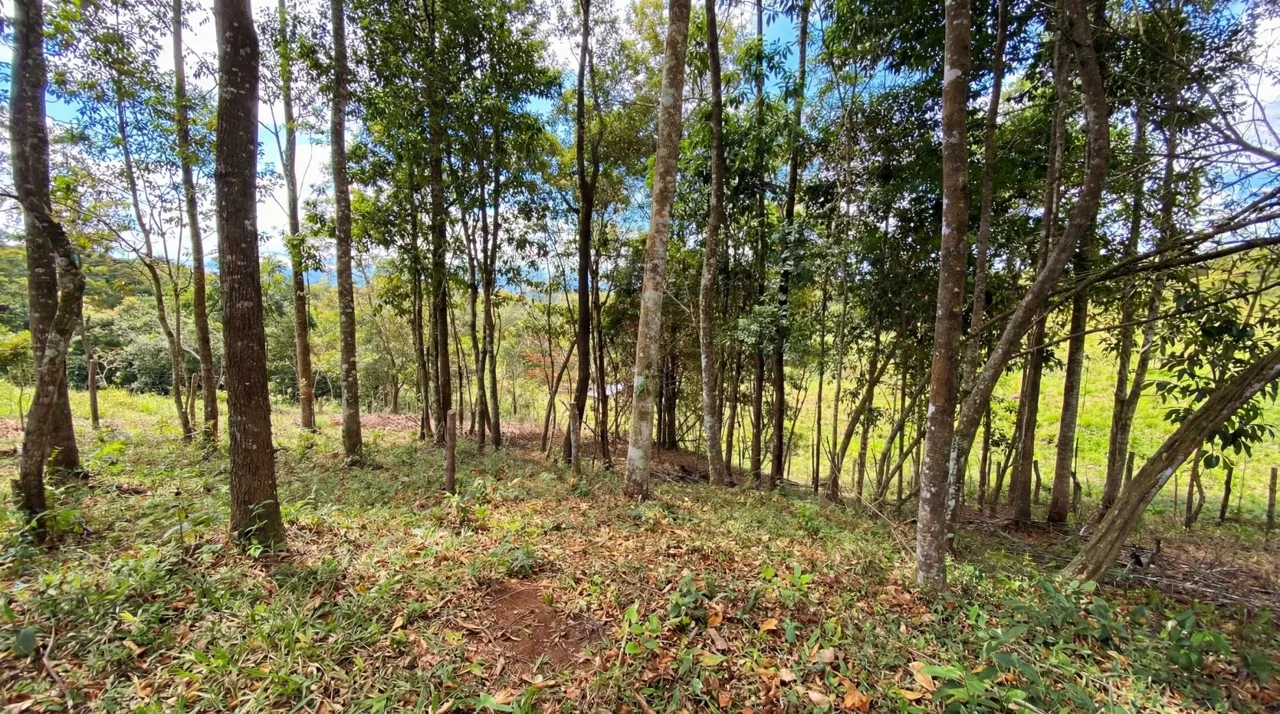 For Sale: Beautiful Mountain 781m2 Residential Lot in Quebradas - CR, photo 7